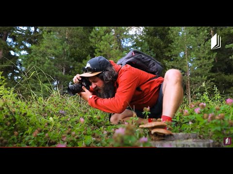 Photoფოკუსი - ახალი პროექტი ტელესკოლაზე